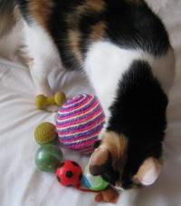 Мячи для кошек