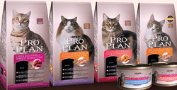 Корм для кошек Pro Plan